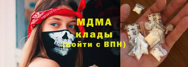 твердый Долгопрудный
