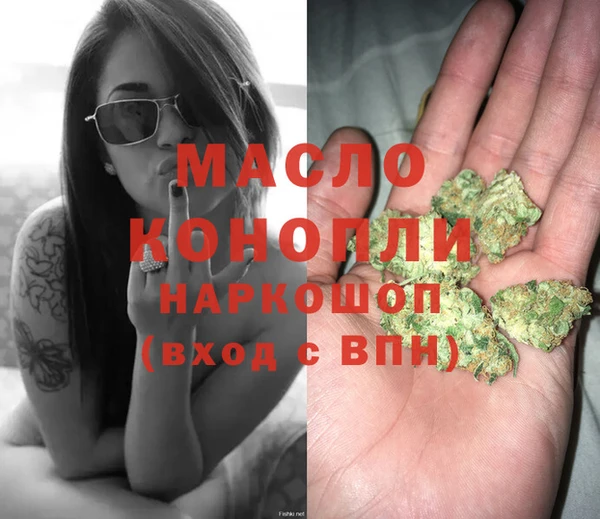 твердый Долгопрудный